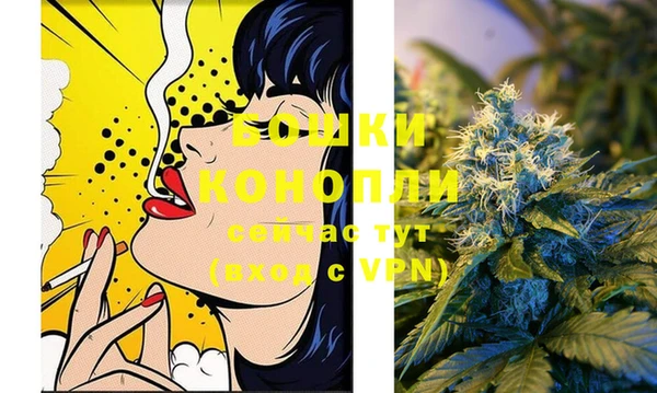 тгк Богданович