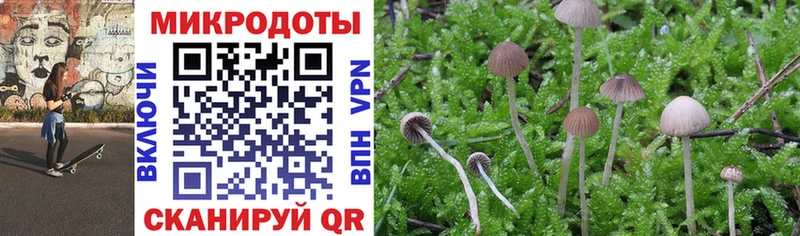 Псилоцибиновые грибы Cubensis Котельниково